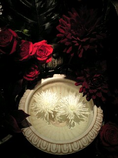 TETE JUMEAU SIZE 3β