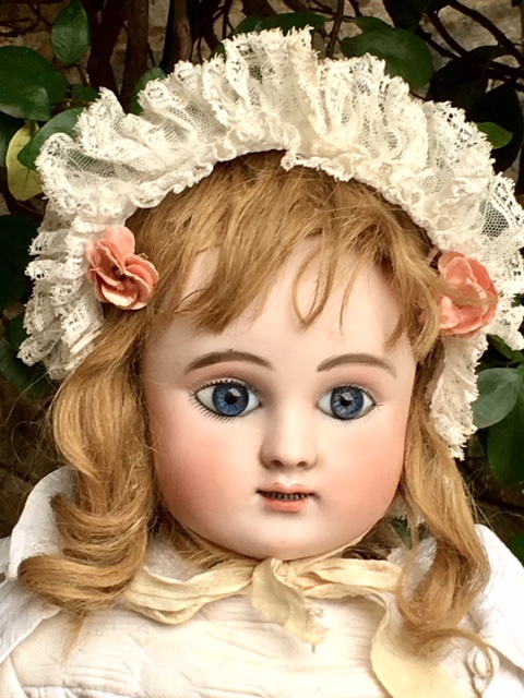 Steiner C Double Rowβ